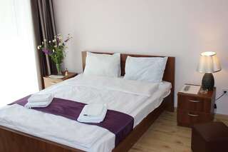 Отель Hotel Nina Тбилиси Двухместный номер Делюкс с 1 кроватью-1