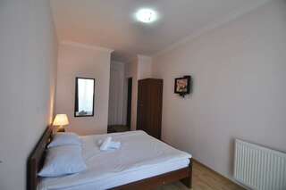 Отель Hotel Nina Тбилиси Стандартный двухместный номер с 1 кроватью-12